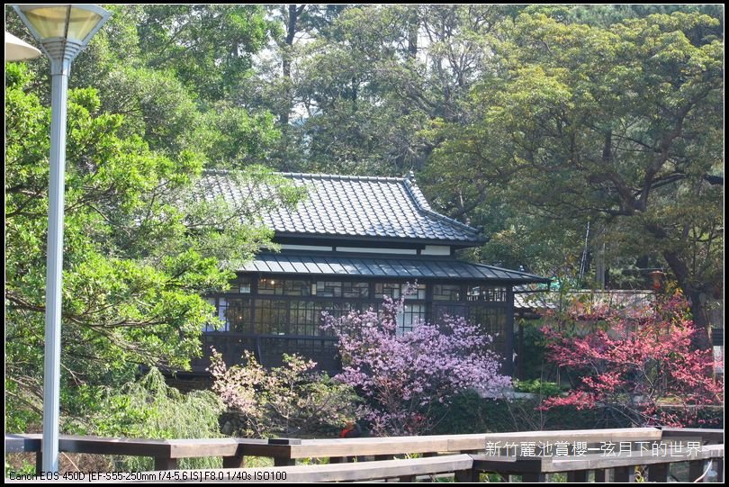 新竹~麗池公園賞櫻_27.JPG