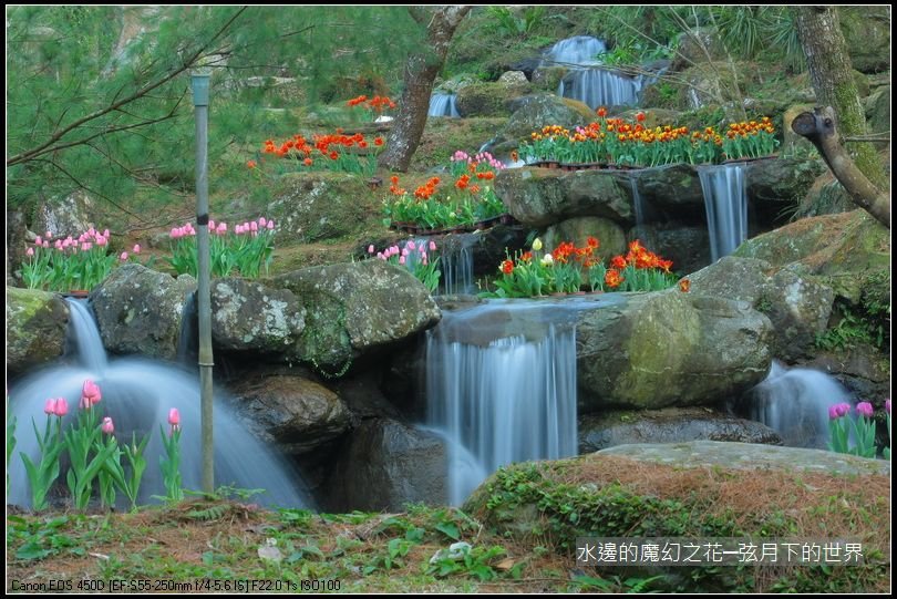 水邊的魔幻之花_09