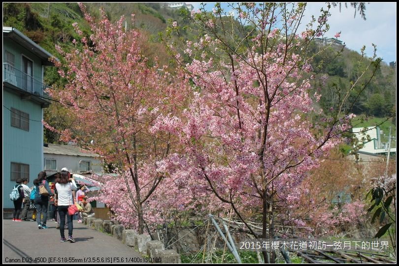2015年櫻木花道初訪_06