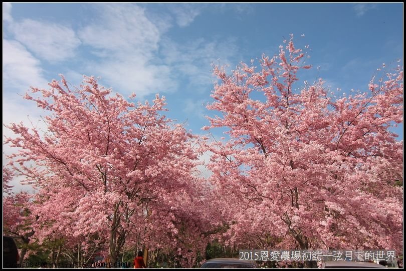 恩愛農場初訪_089