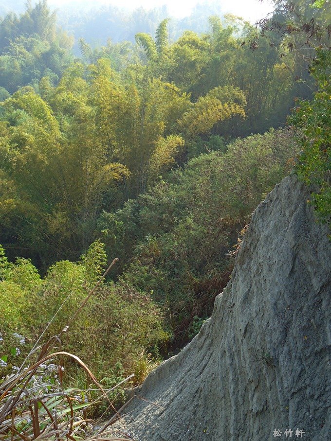 DSC03136.JPG