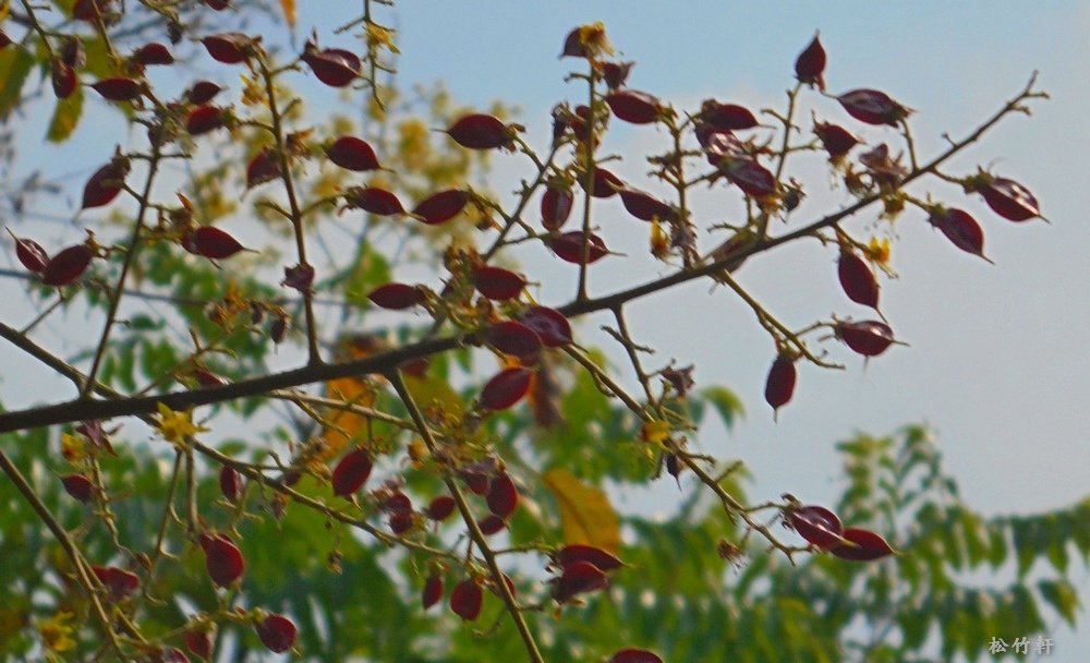 DSC00347.JPG