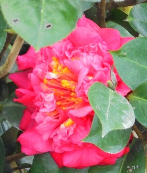DSC01066