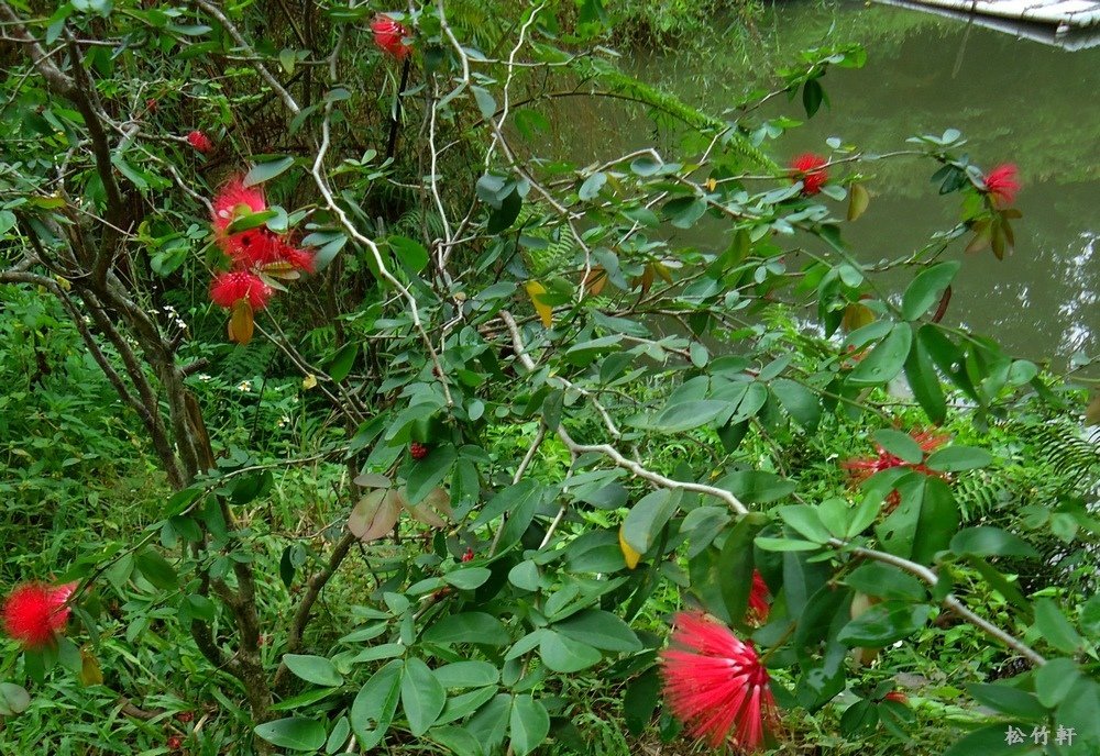DSC07268.JPG