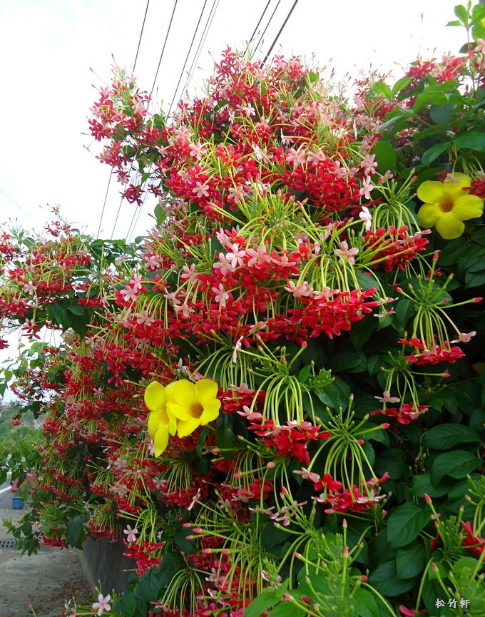 DSC03201.JPG