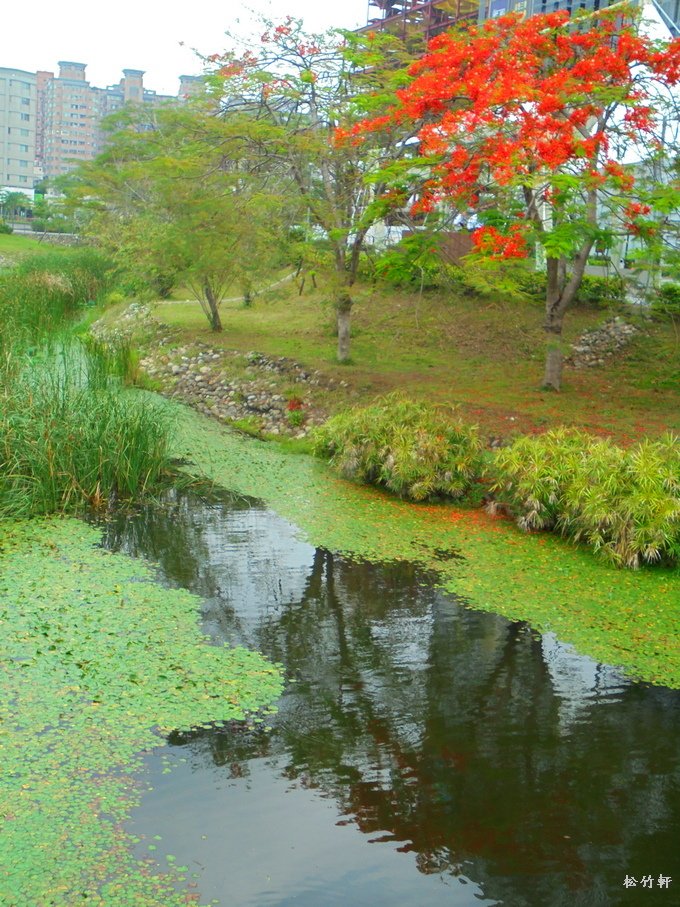 DSC04012.JPG
