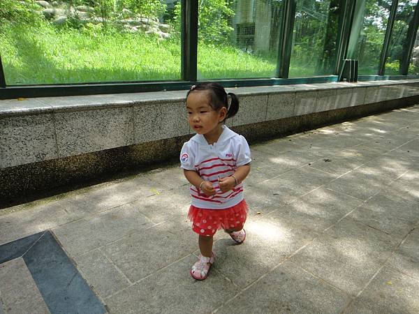 DSC04172