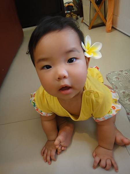 DSC01238.JPG
