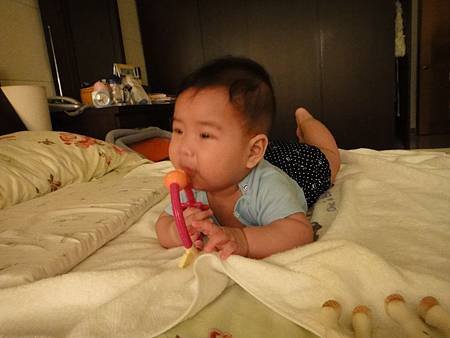 DSC01101.JPG