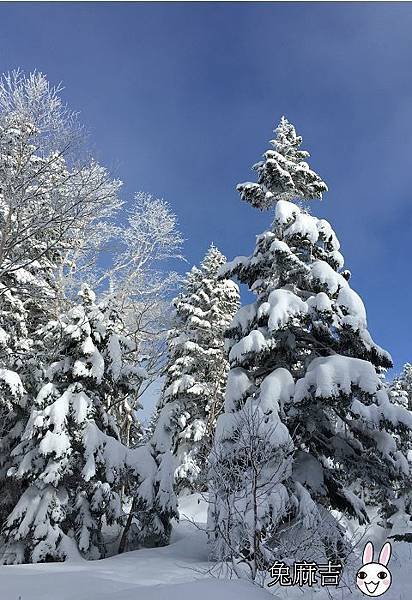 新穗高雪之迴廊 (8).jpg