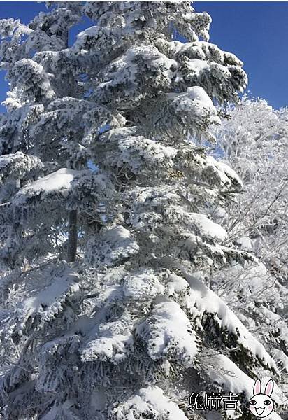 新穗高雪之迴廊 (13).jpg