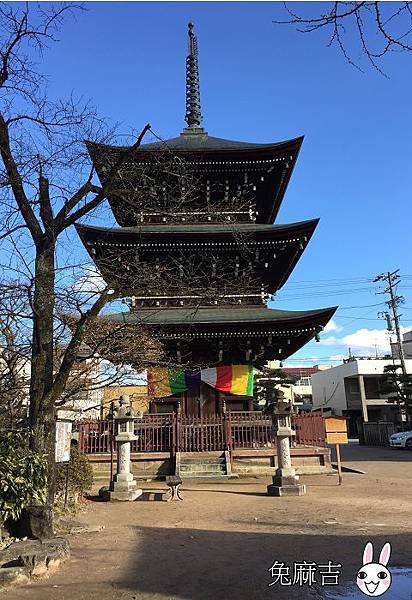 國分寺 (7).jpg