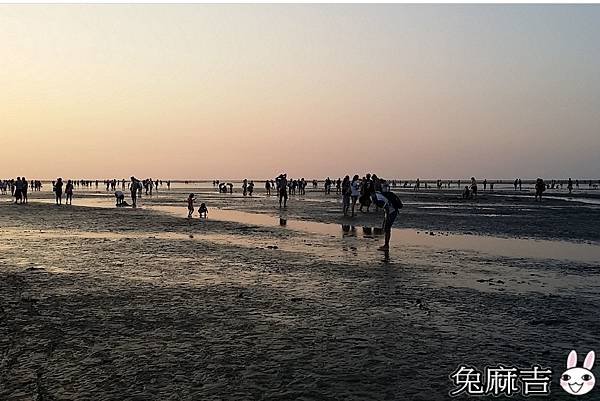 高美濕地 (36).jpg
