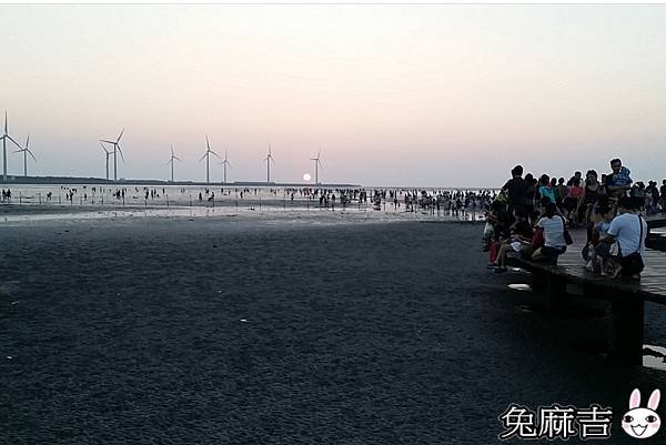 高美濕地 (40).jpg