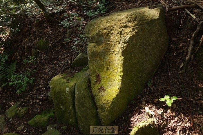 DSC07008