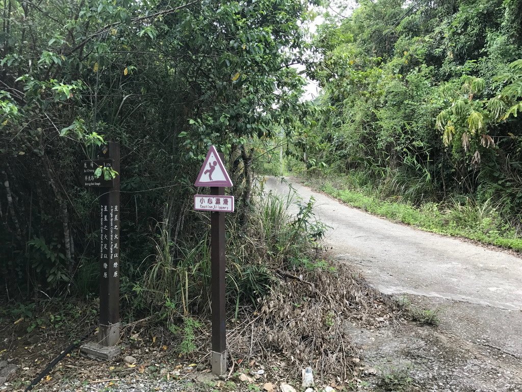 花蓮瑞穗-虎頭山步道-終點