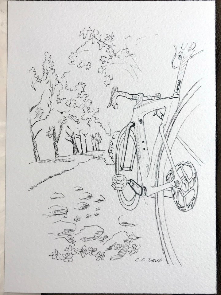 桐花、SPECIALIZED公路車-水彩