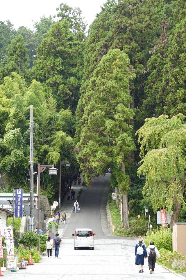 日本東北之旅2024 Day2~盧葡兒仙台觀光巴士、瑞鳳殿