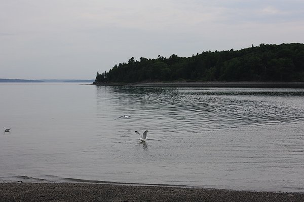IMG_3928.JPG