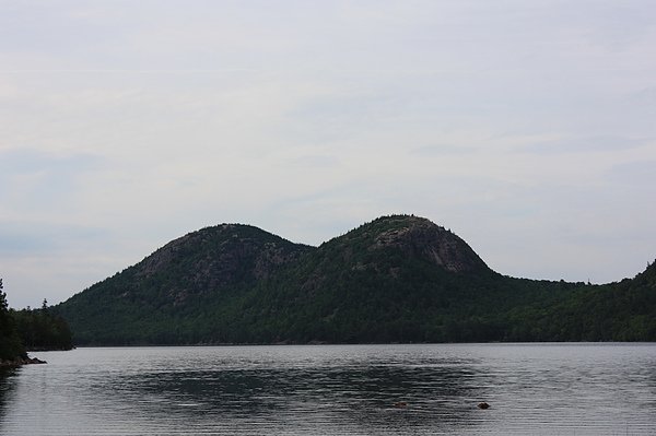IMG_4262.JPG
