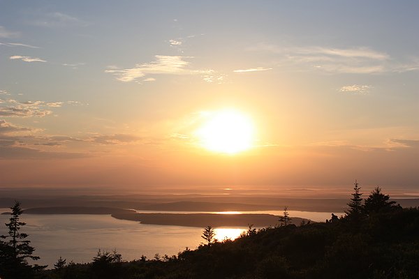IMG_3878.JPG