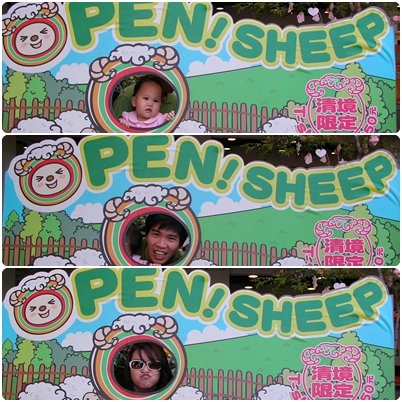 OpenSheep