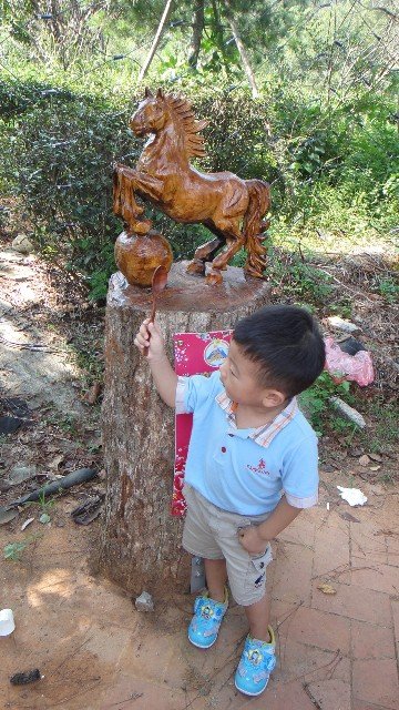 DSC05306.JPG