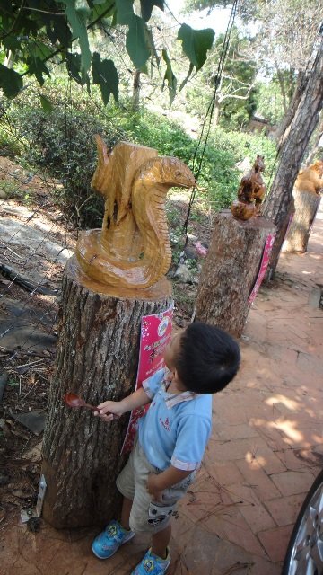 DSC05307.JPG
