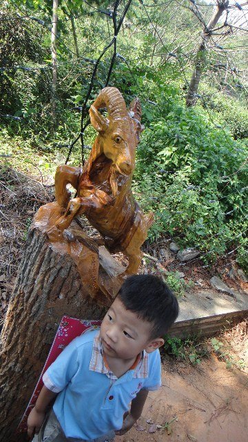 DSC05305.JPG