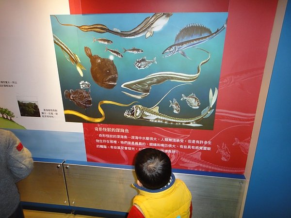DSC00642.JPG