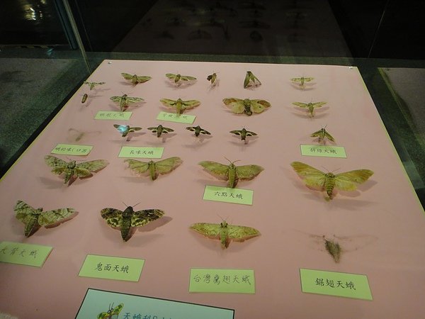 DSC00630.JPG