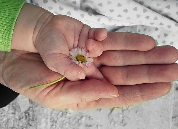 hands-105455_960_720