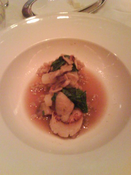 Diver Sea Scallops