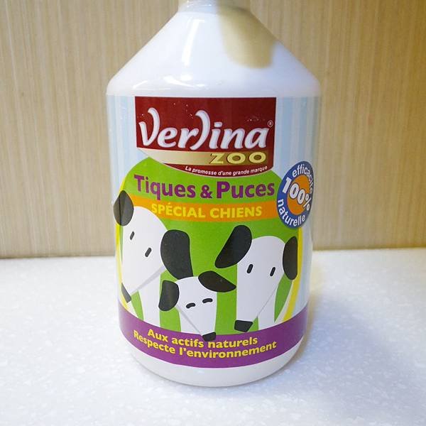 Verlina_Front.JPG