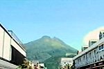 由1.jpg