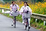 由11.jpg