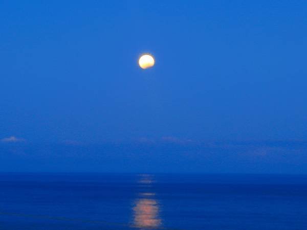 DPP_0223.JPG