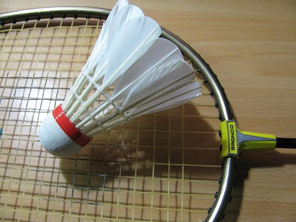 Success playing badminton