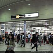 IMG_4800.JPG