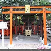 IMG_5289.JPG