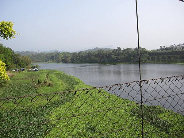 IMG_4460.JPG