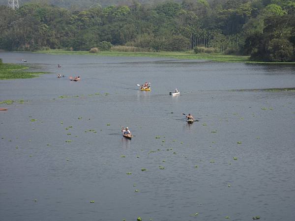 IMG_4471.JPG