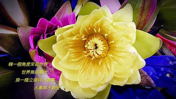 轉角度看世界