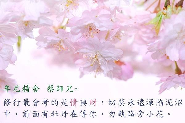 牟尼精舍 蔡師兄 ( 繁體 )_170905_0003