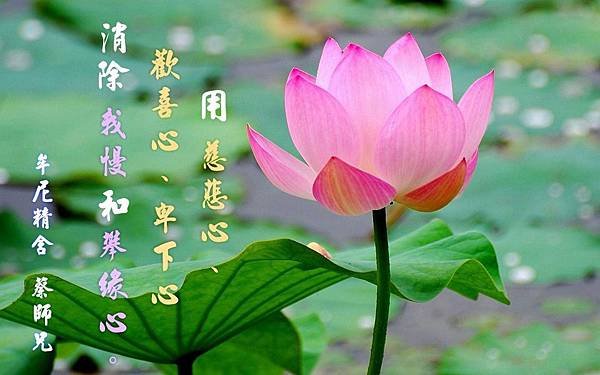 牟尼精舍 蔡師兄 ( 繁體 )_170905_0010