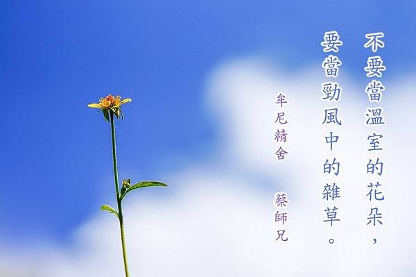 牟尼精舍 蔡師兄 ( 繁體 )_170905_0013