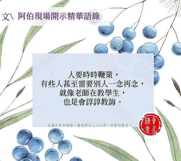 來自螞蟻的提醒