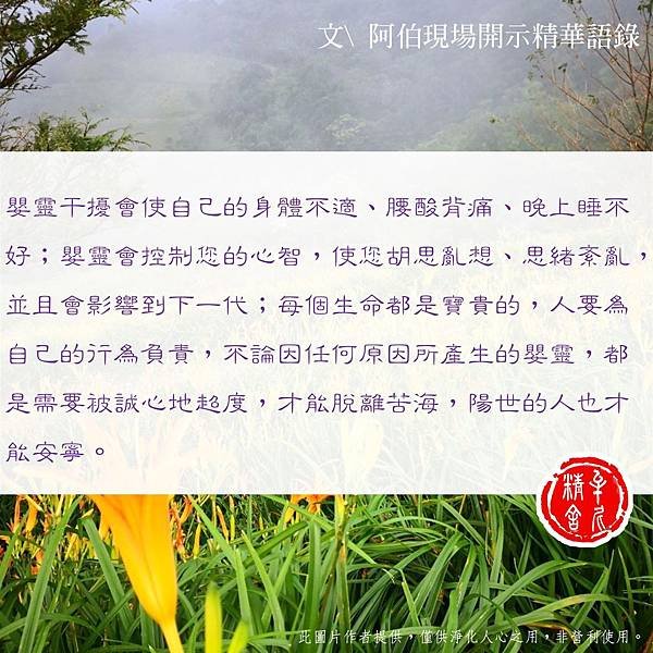 超度嬰靈花2000元?