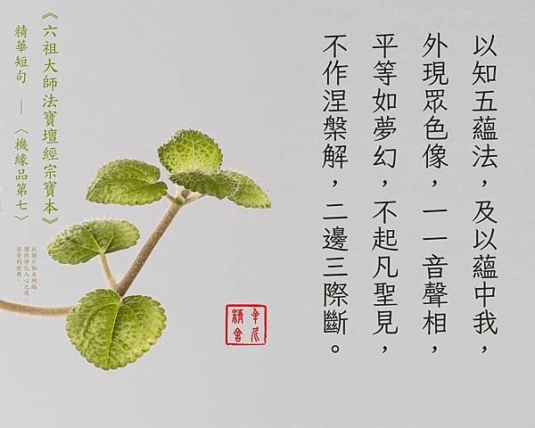 20220402 (19).jpg
