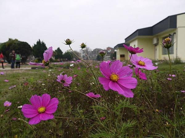P1050363.JPG